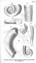 Boll 1857 T9