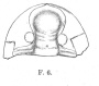 Fig. 06